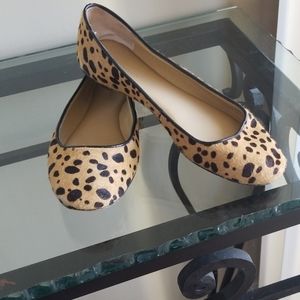 Ann Taylor Leopard Flats